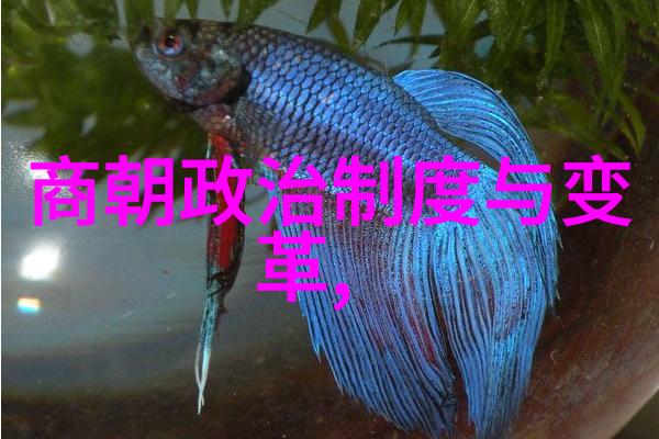 光武帝的史书评价如何他是否值得称为好皇帝探寻双子座历史名人的背后故事