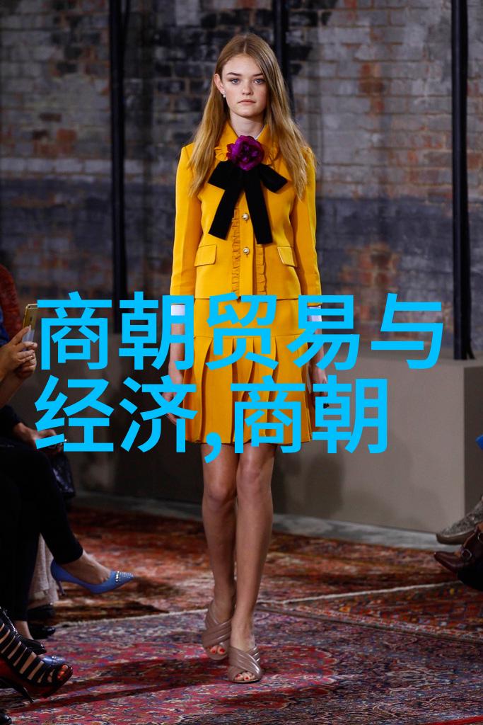 宋朝风华录帝王将相文艺繁荣与经济兴旺的辉煌一览