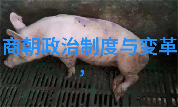 中国历史-穿越时空探索中国悠久的朝代史