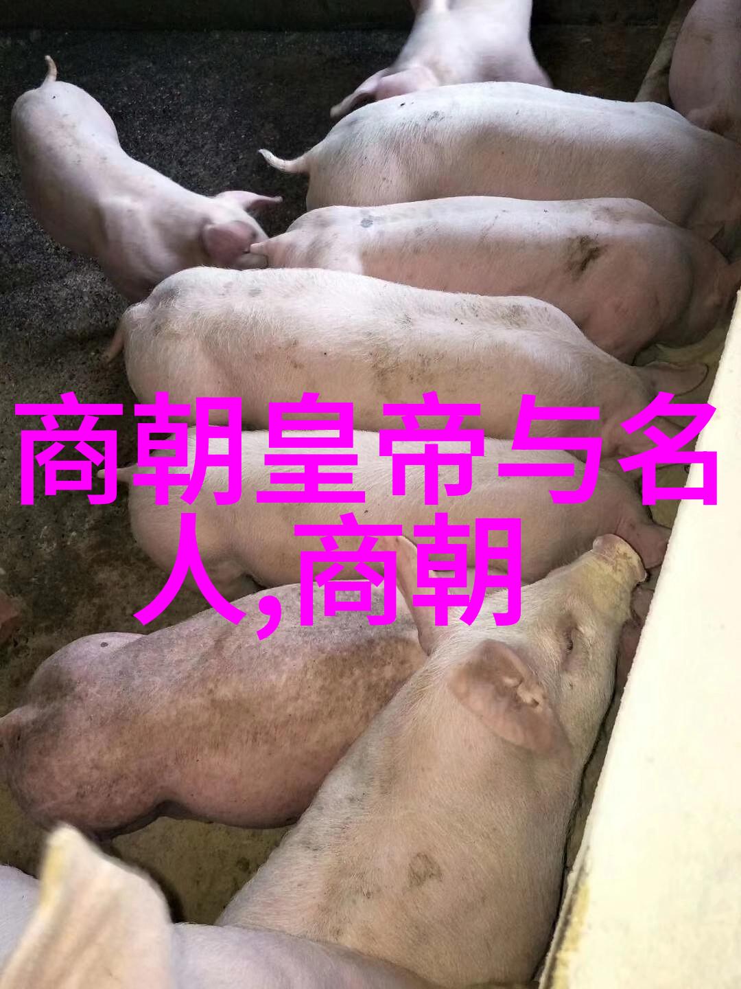 宋代美女争冠评析第一美人的多重象征意义