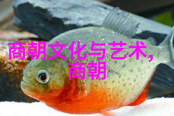 明朝盛世风华中国历史上的繁荣时期
