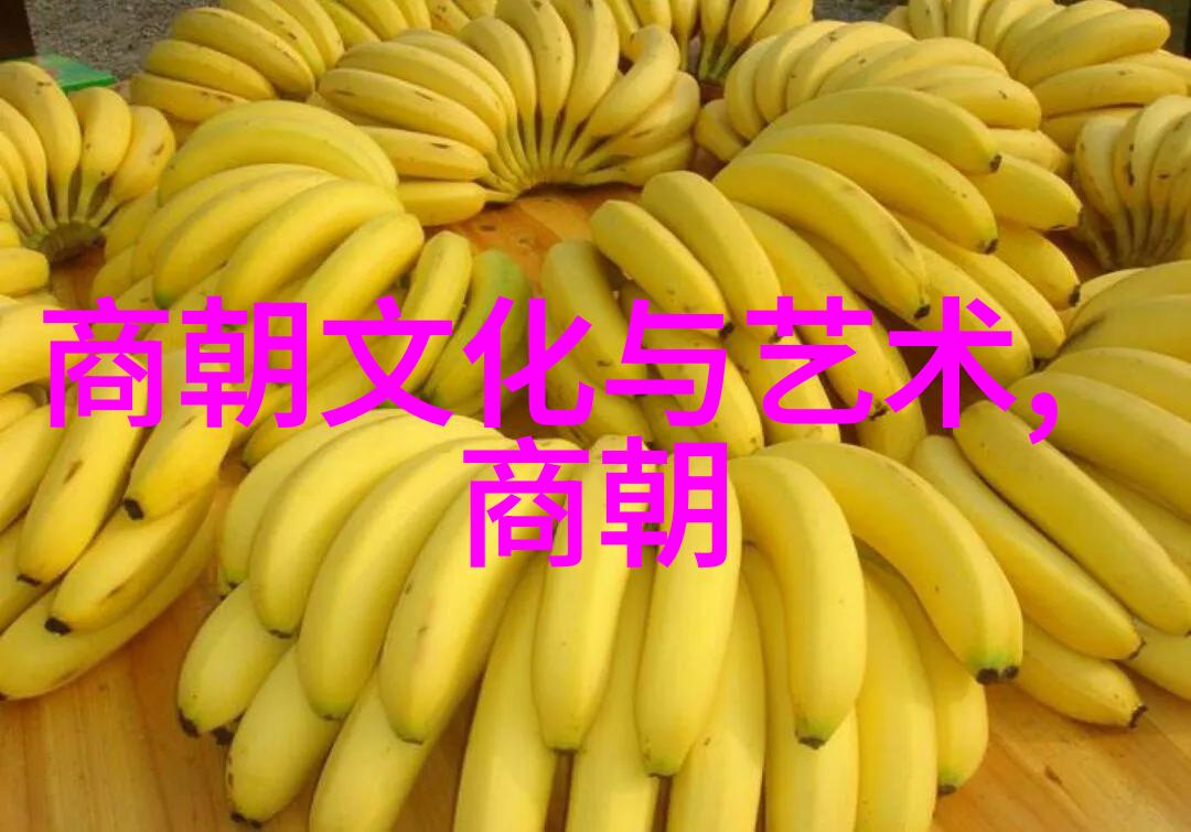君主之痛家国之忧分析乾隆时代亲王太子的死亡事件