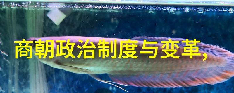 明朝那些事谁讲的好王阳明心学之光芒