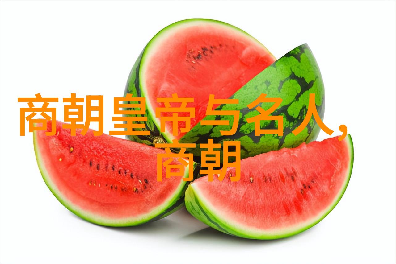 隋朝历史隋朝16位皇帝简史概览