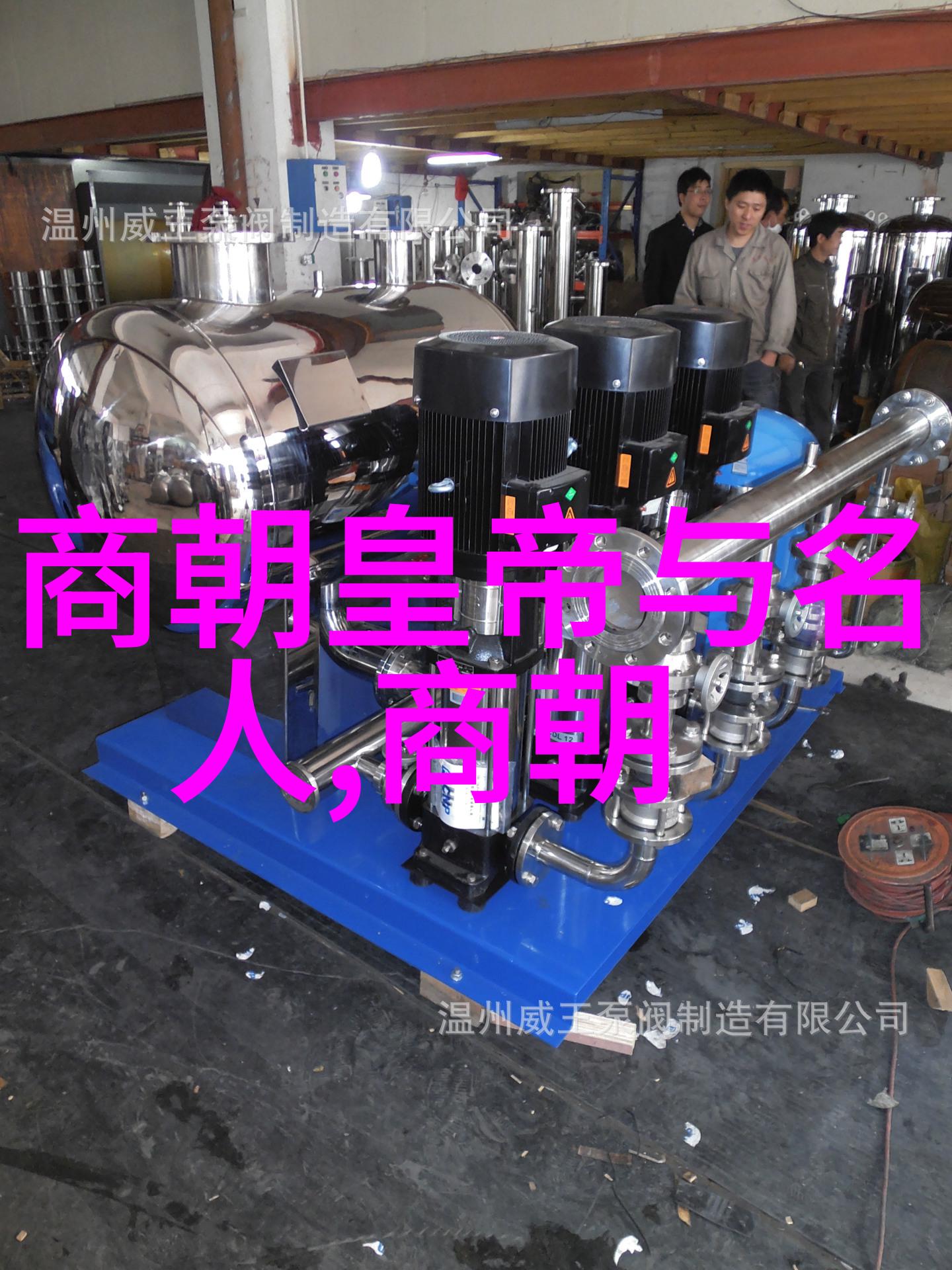 秦国七代无昏君之谜解析