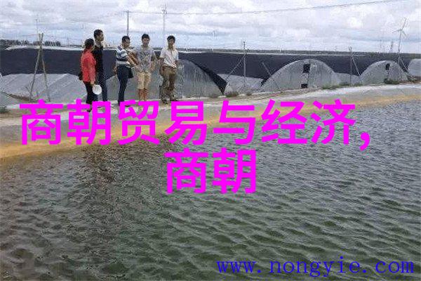 东晋智星亦思马因