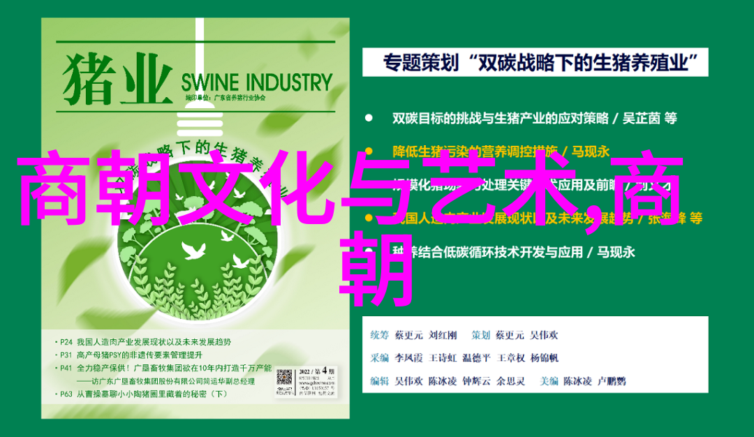 明朝风华尽落从太平盛世到倭寇侵扰的转折点