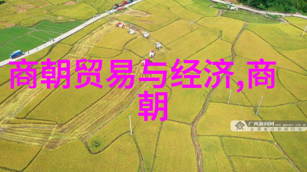 黄梅戏mp3潘璟琍筱玉琴旦行演绎精彩