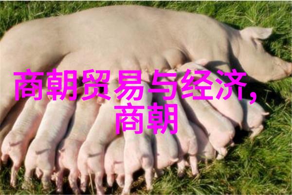 阮小五揭秘古代历史的数字足迹