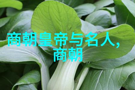 朱由检年轻有为的皇帝关羽八大经典故事中的英勇形象