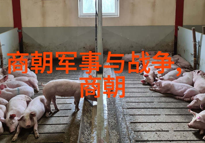 两位皇帝在外交策略上的差异又是怎样的