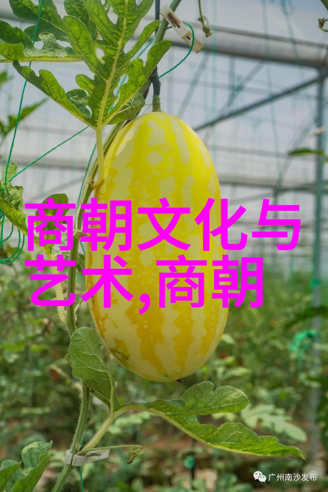 明代历代族谱家族记忆与历史的传承