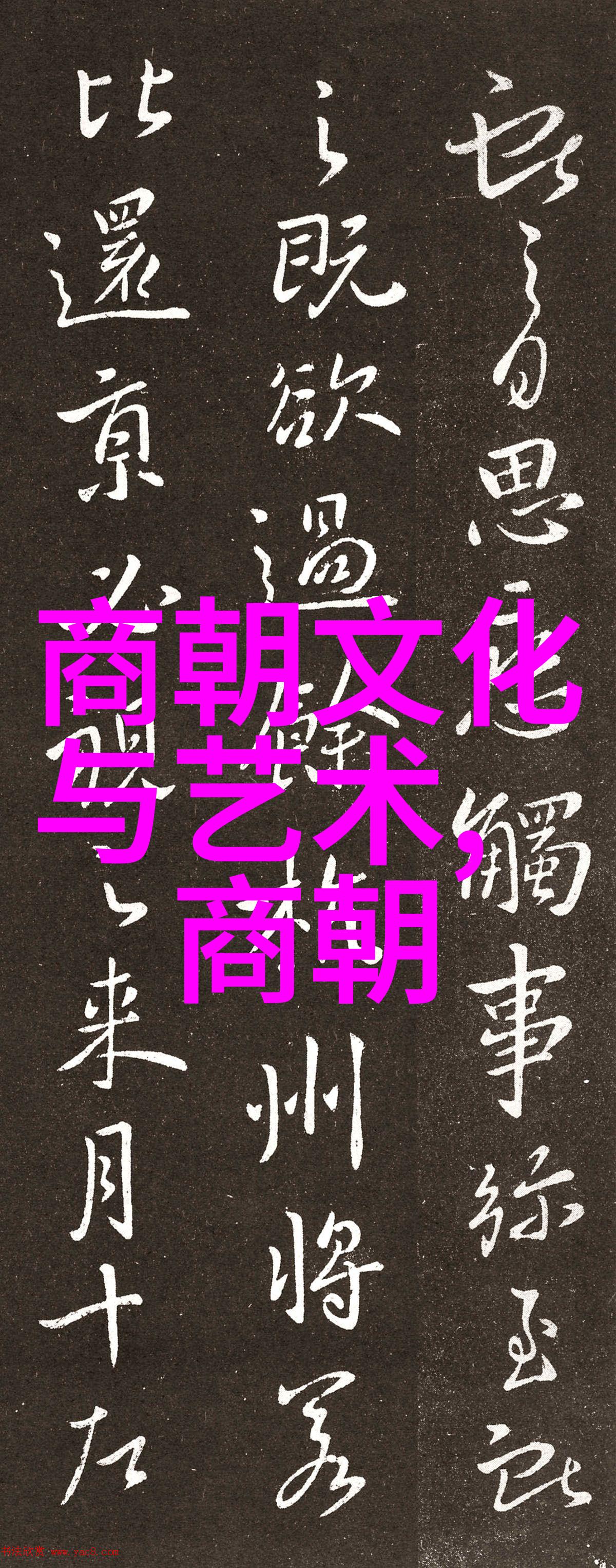 千岁大人背后的秘密