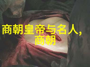 古代的辉煌从黄帝到清朝中国历史的壮丽篇章