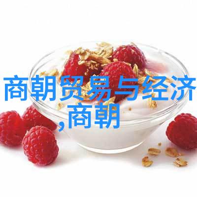 历史 元朝大蒙古国的盛世与衰败