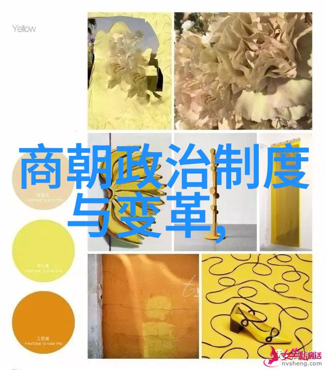 明朝辉煌与凋零历史的绘卷