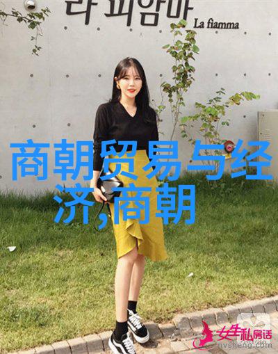 中国古代帝王的智慧与勇气秦始皇长城建造史