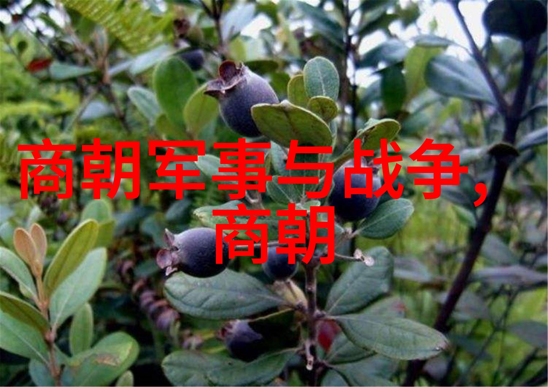 明朝那些事儿txt全文我和明朝的故事从朱元璋到崇祯