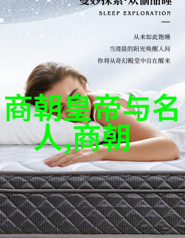 探秘古籍哪一本著作是解读唐代政治史的最佳资料
