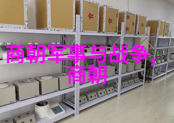 从炎帝到清王朝中国历史中共有几度辉煌与沉浮
