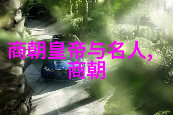 中原盛世宋朝的辉煌与变迁