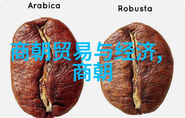 明朝继承人争夺战明成祖之子朱祁钰的皇位争取