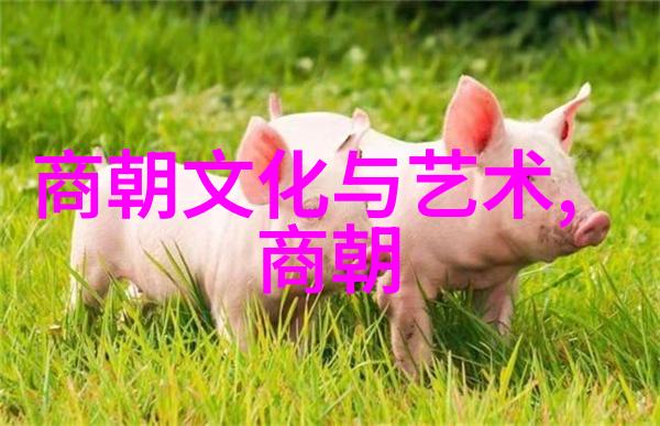 明朝历史-揭秘明朝那些事儿权谋变法与衰落