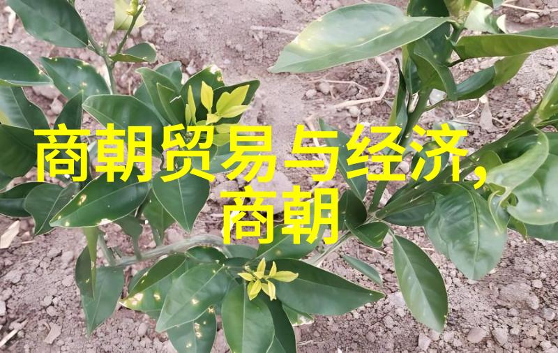 土木堡之战死了多少疆土历史的悲剧与数字的沉默