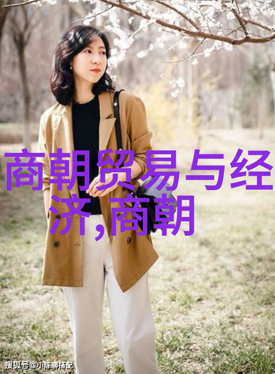 绘卷千年中国朝代顺序时间表的演变与特色
