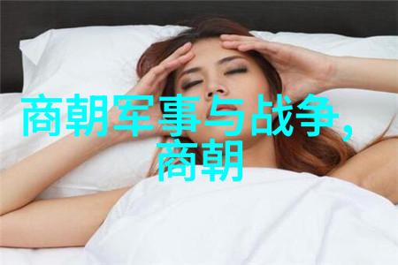 风华逝去元朝的幻影与梦想