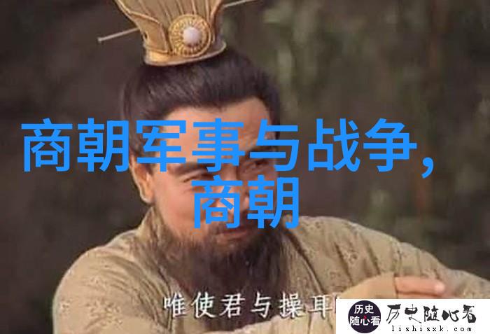 哪一位皇帝能够更好地平衡中央集权与地方自治