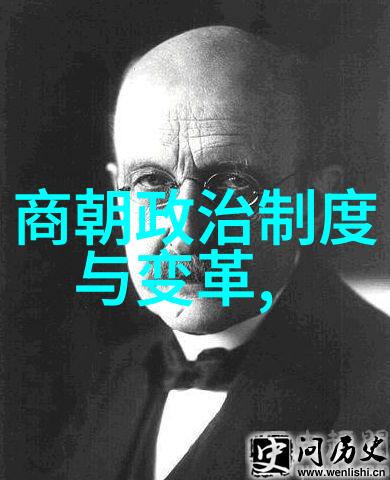 剖析明朝兴衰历史纷争与文化辉煌的史实考量