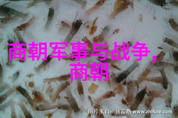 那些被认为是特殊使命的人们他们又带来了什么样的改变