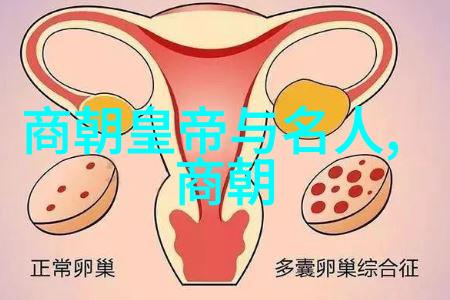 在明初政治斗争中太子与其他兄弟之间的关系如何塑造了未来帝国