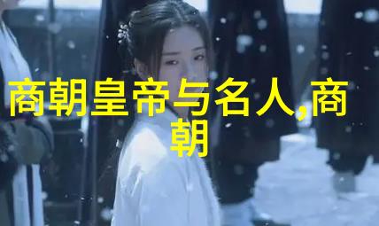 宋国历史百年从太祖开国到徽宗灭亡的辉煌与衰落
