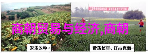 袁宏道的尺牍犹如中华五千年的历史在一纸简短中绘就