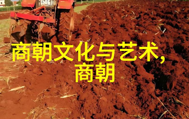 明朝四大奇案之十大悬案 - 谜雾缭绕的历史真相揭开未解之谜