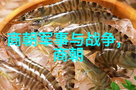 绘卷千秋探索中国悠久的历史篇章