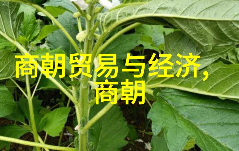明末动乱及清初政权更迭背景考察