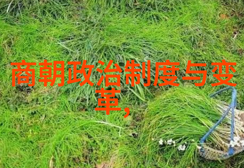 宋朝专家赞誉历史文明政治稳定经济繁荣