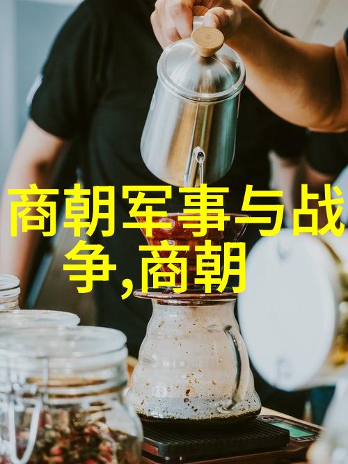 北元与明朝正统争辩历史学者对蒙古后金政权合法性质的探讨