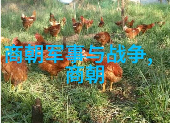 明朝历史被丑化的原因探究历史误解文化偏见政治斗争