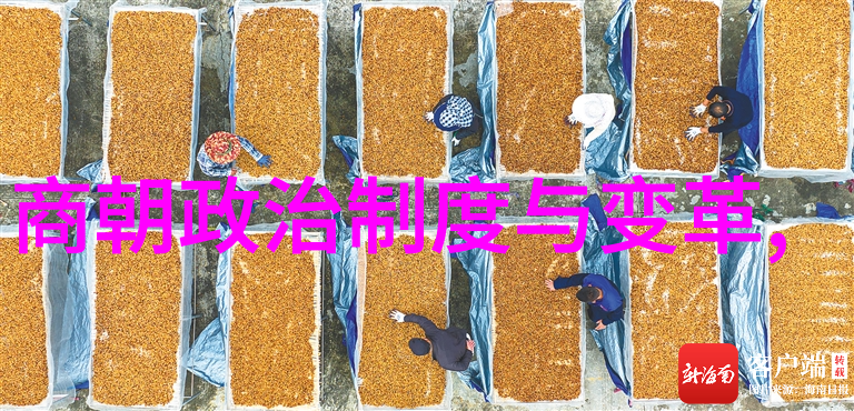 宦官政治中的权谋家魏忠贤及其背后的故事
