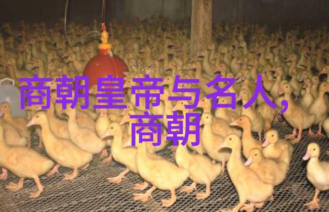 中国历史上最短的朝代西周灭亡到东周建立的转折期