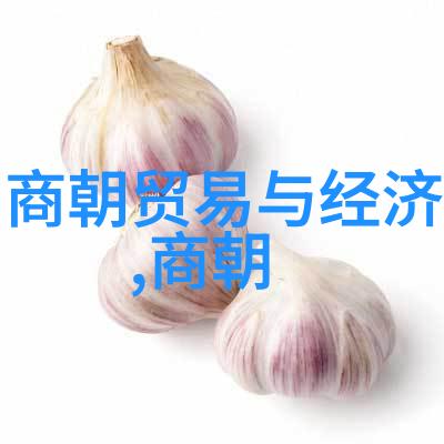 春秋人物排名100人魏景湣王公元前228年的智者春秋人物排名100人公元前228年魏景湣王的故事