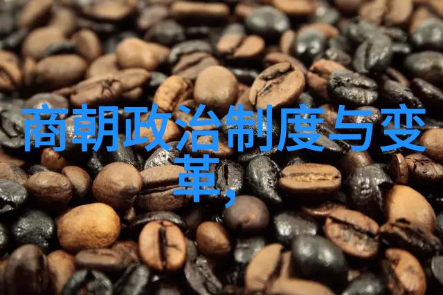 经济发展新篇章郑和七次远征对世界的地理影响