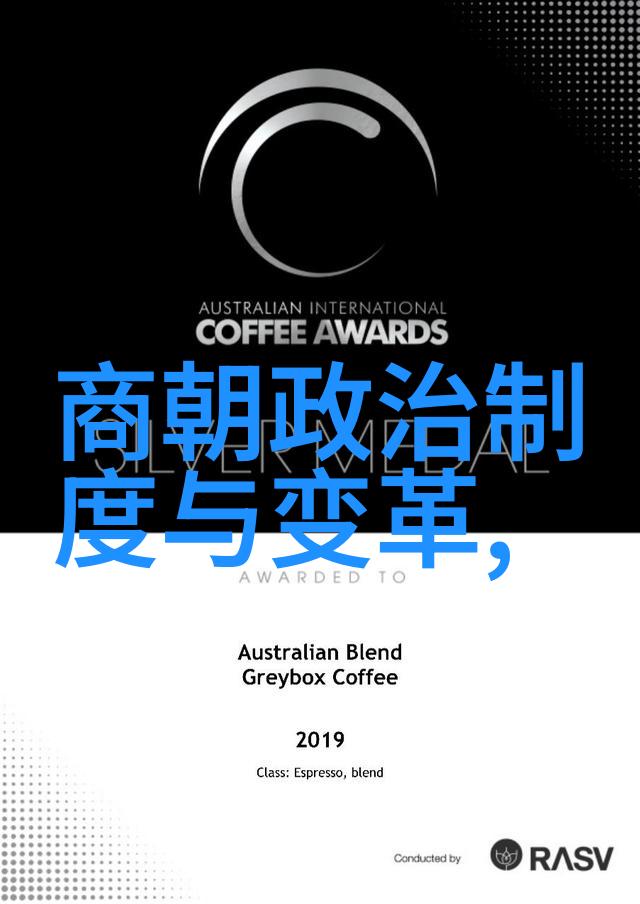 秦良玉明朝那些事儿中的迷雾与忠诚