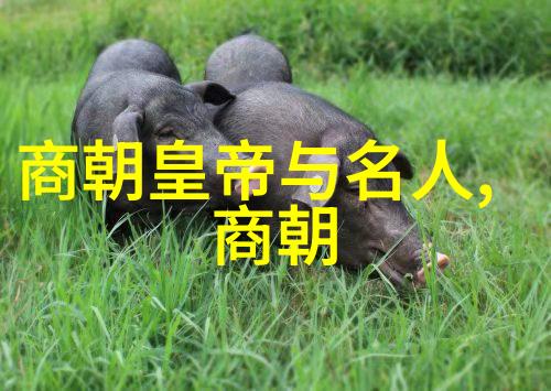 刘伯温与马皇后之谜揭开历史中的秘密情缘