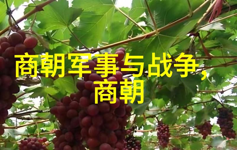 神话故事100个揭秘古老传说中的真相
