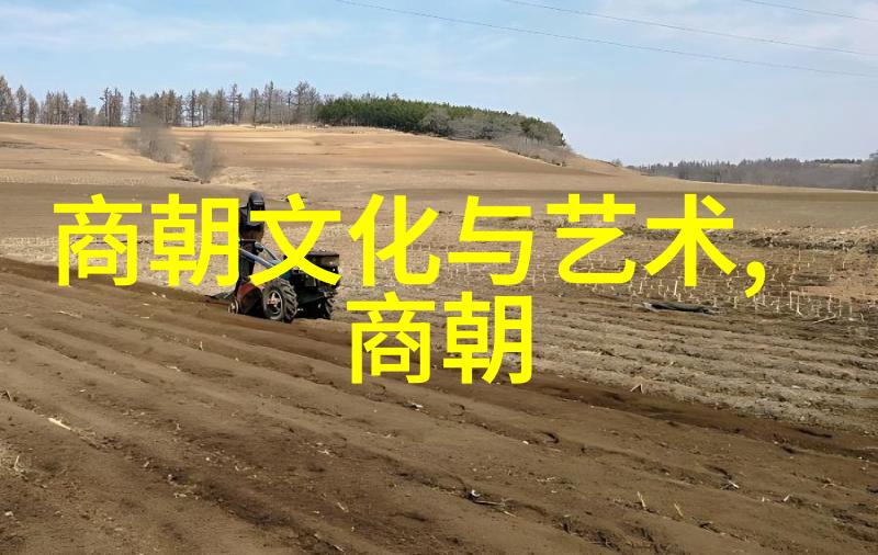 南宋名将孟珙尝后图真迹全图-探秘南宋军事艺术孟珙的尝后图真迹解读